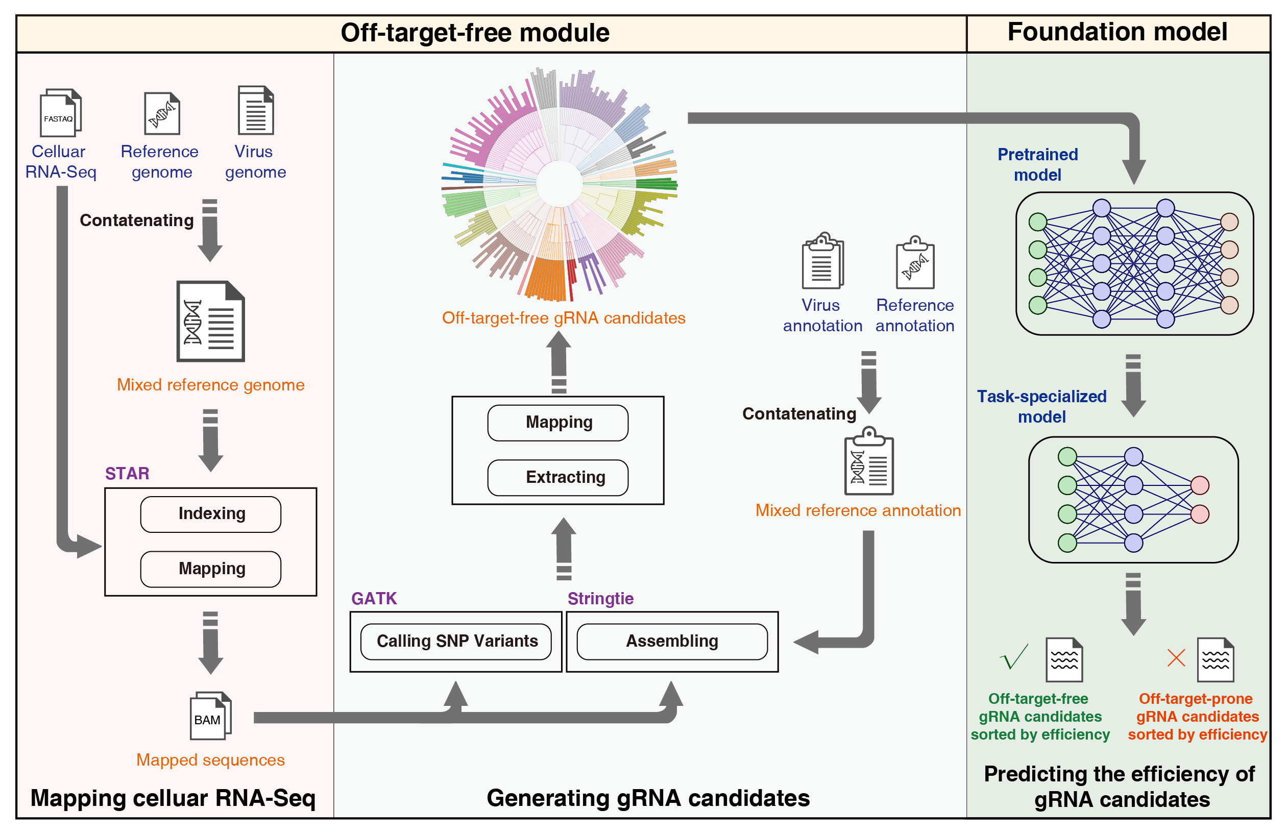 CRISPR-viva Schema